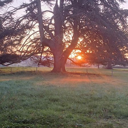 Chateau De Maucouvent Challuy Zewnętrze zdjęcie