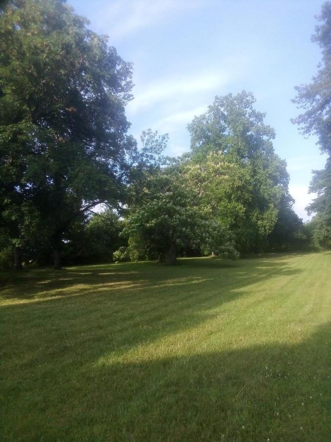 Chateau De Maucouvent Challuy Zewnętrze zdjęcie
