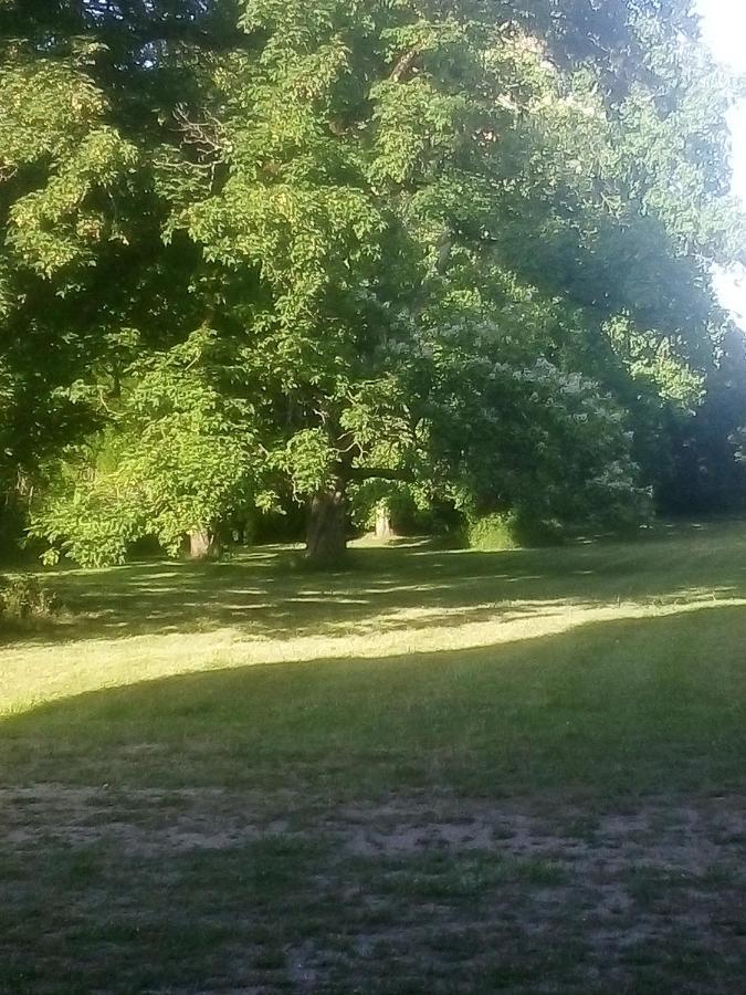 Chateau De Maucouvent Challuy Zewnętrze zdjęcie